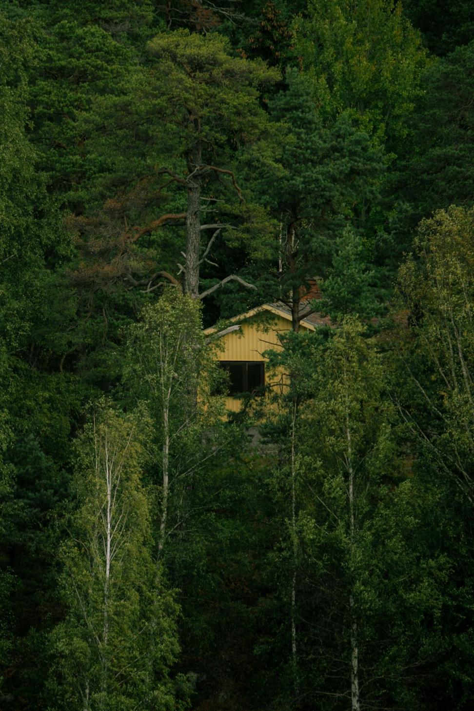 North Shore Passive House