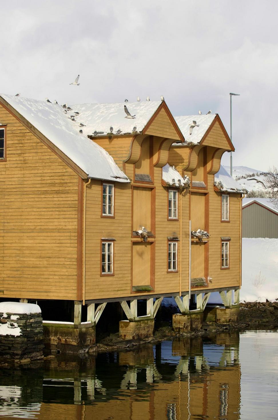 Sustainable Northern Design